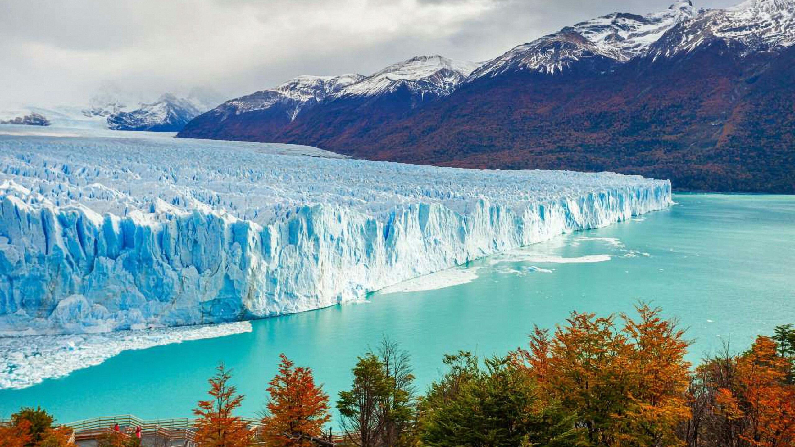 A breathtaking view of the Perito Moreno Glacier with fall foliage in Patagonia, Argentina.